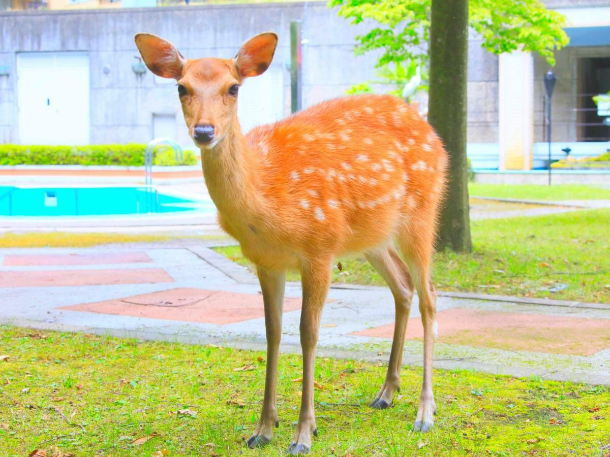 Reyzenit Kinosaki Suite Villa Toyooka  Esterno foto